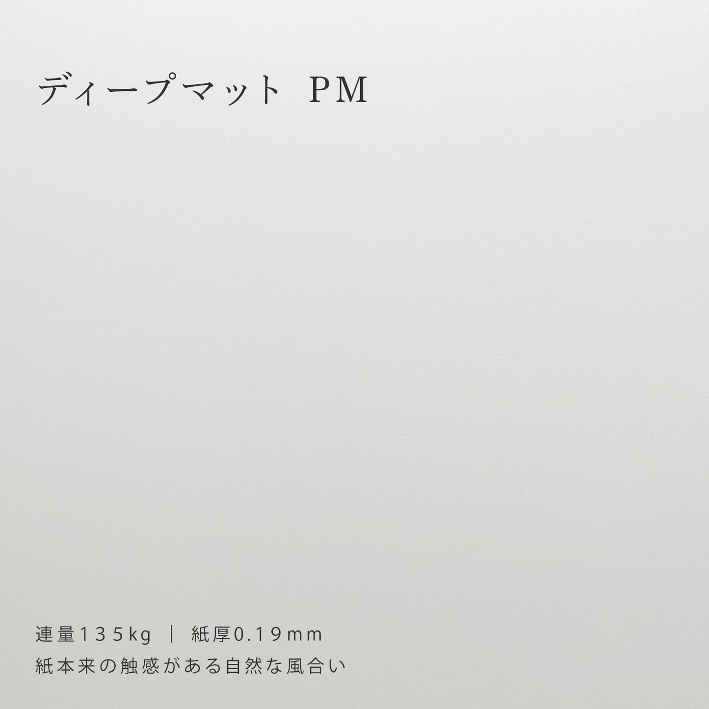 【特殊紙】ディープマット PM