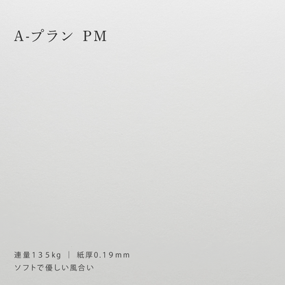 【特殊紙】A-プラン PM
